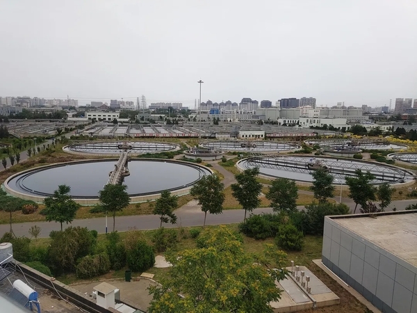 1626680766926.jpg ABUIABACGAAg9o77hQYowNShjwMwuAg4qgY!600x600.jpg